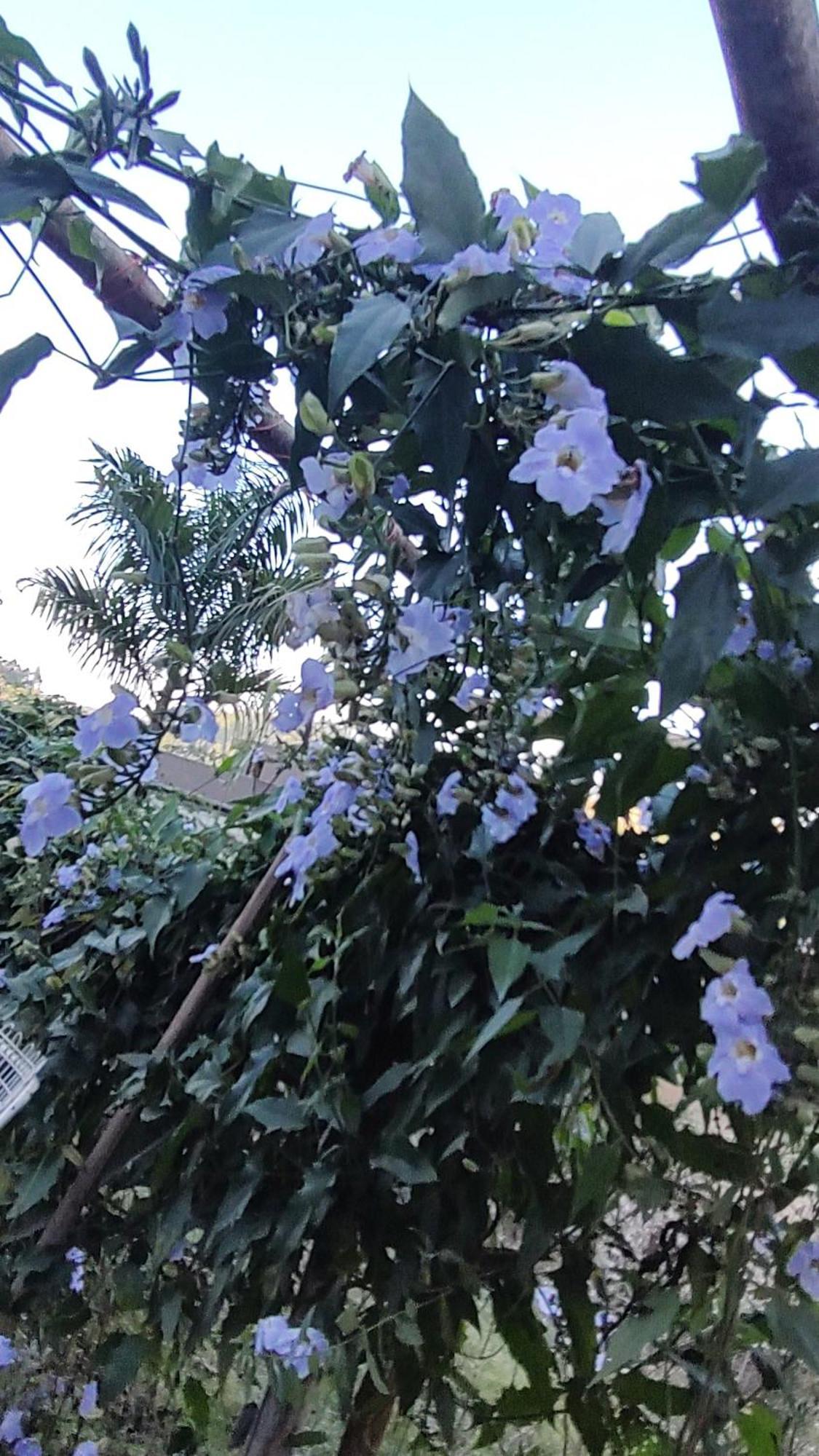 Recanto Duas Rosas Venda Nova do Imigrante Exterior photo